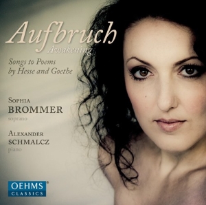 Brommer - Aufbruch i gruppen CD hos Bengans Skivbutik AB (3187151)