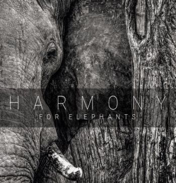 Various Artists - Harmony For Elephants ~ A Charity A i gruppen CD / Toppselgere hos Bengans Skivbutik AB (3205254)