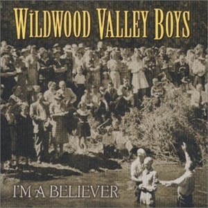 Wildwood Valley Boys - I'm A Believer i gruppen CD hos Bengans Skivbutik AB (3205447)