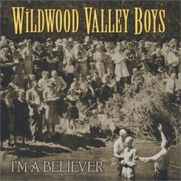 Wildwood Valley Boys - I'm A Believer i gruppen CD / Toppselgere hos Bengans Skivbutik AB (3205447)