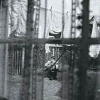 Paul Mccartney - Chaos And Creation In The Backyard i gruppen Minishops / Paul Mccartney hos Bengans Skivbutik AB (3206257)