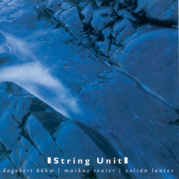 Böhm Dagobert Markus Reuter Zolt - String Unit i gruppen CD / Toppselgere hos Bengans Skivbutik AB (3207936)