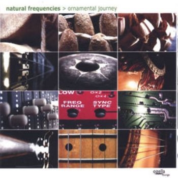Natural Frequencies (Aka Andreas Le - Ornamental Journey i gruppen CD / Toppselgere hos Bengans Skivbutik AB (3208029)