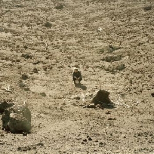 Ben Howard - Noonday Dream (2Lp) i gruppen -Start Vinyl hos Bengans Skivbutik AB (3208364)