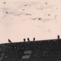 Stuart A. Staples - Arrhythmia i gruppen VINYL / Toppselgere hos Bengans Skivbutik AB (3211178)