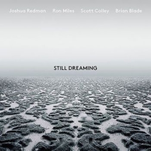 Joshua Redman - Still Dreaming (Feat. Ron Mile i gruppen Minishops / Joshua Redman hos Bengans Skivbutik AB (3211228)
