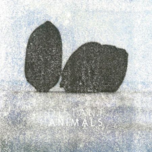 Distant Animals - Lines i gruppen VINYL hos Bengans Skivbutik AB (3212029)