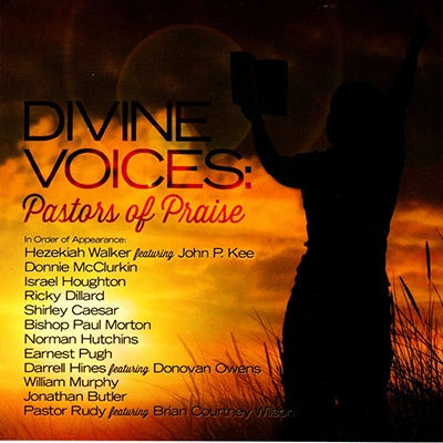 Various Artists - Divine Voices: Pastors Of Praise i gruppen CD hos Bengans Skivbutik AB (3213996)