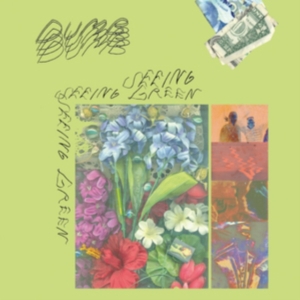 Dumb - Seeing Green i gruppen CD hos Bengans Skivbutik AB (3221797)