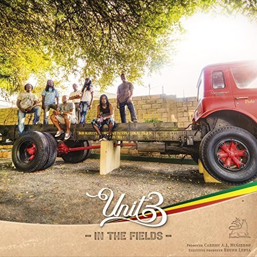 Unit 3 - In The Fields i gruppen CD / Toppselgere hos Bengans Skivbutik AB (3224988)