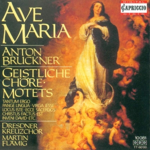 A.Bruckner Motetten i gruppen CD hos Bengans Skivbutik AB (3226972)