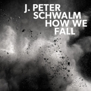 Schwalm J.Peter - How We Fall i gruppen VINYL hos Bengans Skivbutik AB (3227679)