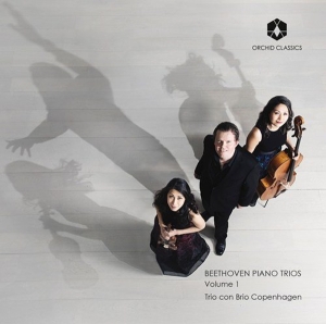Trio Con Brio Copenhagen - Beethoven Piano Trios Volume 1 i gruppen CD hos Bengans Skivbutik AB (3228591)