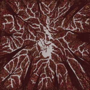 Trash Boat - Crown Shyness i gruppen CD hos Bengans Skivbutik AB (3249013)