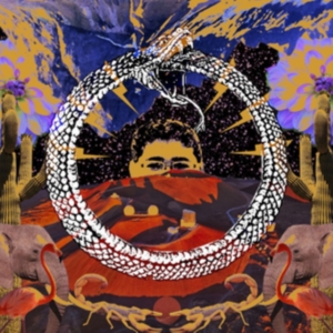 Stone House On Fire - Neverending Cycle - Ltd.Ed. i gruppen VINYL hos Bengans Skivbutik AB (3249273)