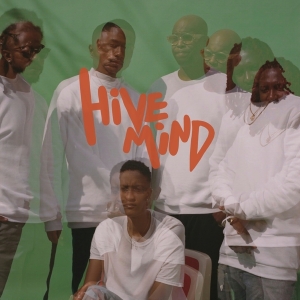 Internet The - Hive Mind i gruppen VINYL hos Bengans Skivbutik AB (3250685)
