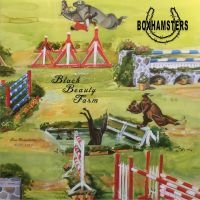 Boxhamsters - Black Beauty Farm (Inkl.Cd) i gruppen VINYL / Rock hos Bengans Skivbutik AB (3266695)
