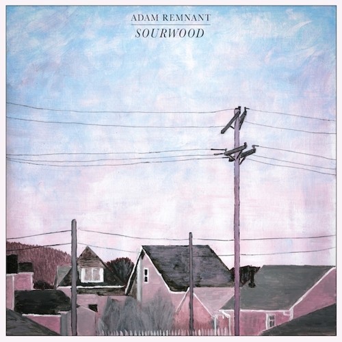 Remnant Adam - Sourwood i gruppen CD / Rock hos Bengans Skivbutik AB (3274045)
