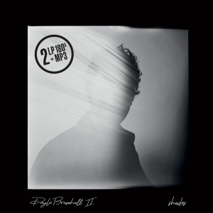 Doyle Bramhall Ii - Shades i gruppen VINYL hos Bengans Skivbutik AB (3304676)
