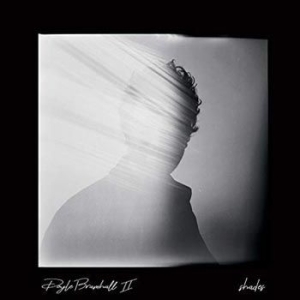 Bramhall Ii Doyle - Shades i gruppen CD hos Bengans Skivbutik AB (3305161)