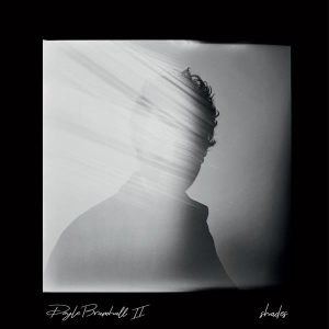 Doyle Bramhall Ii - Shades i gruppen CD hos Bengans Skivbutik AB (3305161)
