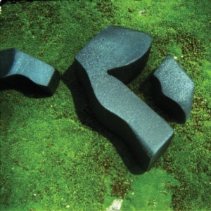 Camilla Fuchs - Heart Pressend Between Stones i gruppen CD hos Bengans Skivbutik AB (3306719)