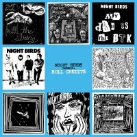 Night Birds - Roll Credits i gruppen Annet /  hos Bengans Skivbutik AB (3309509)