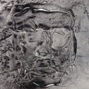 How To Dress Well - The Anteroom i gruppen VINYL hos Bengans Skivbutik AB (3322693)