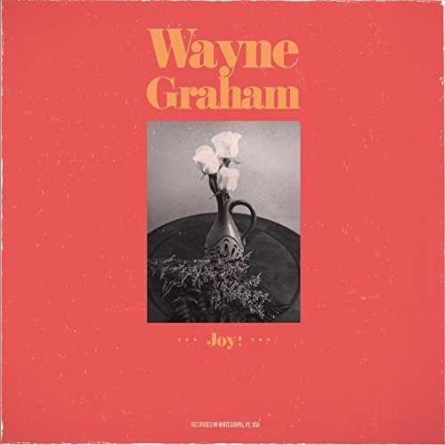 Wayne Graham - Joy i gruppen CD / Pop hos Bengans Skivbutik AB (3338218)