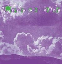 Third Ear Band - Elements 1970-1971 i gruppen CD / Rock hos Bengans Skivbutik AB (3338274)
