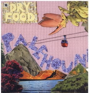 Palehound - Dry Food i gruppen Annet /  hos Bengans Skivbutik AB (3460730)