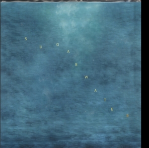 Swings - Sugarwater i gruppen VINYL hos Bengans Skivbutik AB (3460733)