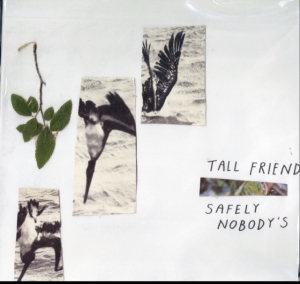 Tall Friend - Safely Nobody's i gruppen Annet /  hos Bengans Skivbutik AB (3460742)