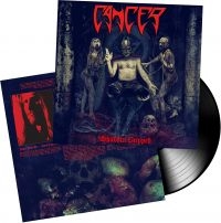 Cancer - Shadow Gripped (Vinyl) i gruppen VINYL hos Bengans Skivbutik AB (3463420)