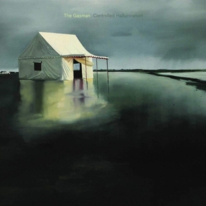 Gasman - Controlled Hallucination i gruppen CD hos Bengans Skivbutik AB (3463447)