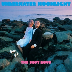Soft Boys The - Underwater Moonlight i gruppen VINYL / Rock hos Bengans Skivbutik AB (3466443)