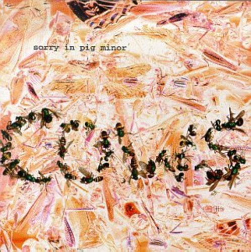 Cows - Sorry In Pig Minor i gruppen CD / Rock hos Bengans Skivbutik AB (3471057)