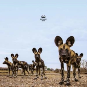 Balthazar - Fever i gruppen CD hos Bengans Skivbutik AB (3472352)