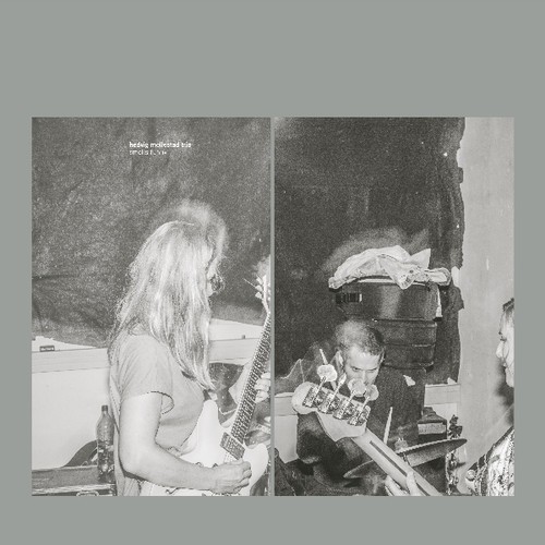 Hedvig Mollestad Trio - Smells Funny i gruppen VINYL / Rock hos Bengans Skivbutik AB (3474577)