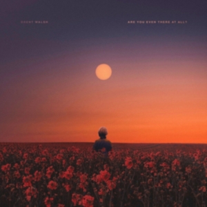 Walsh Brent - Are You Even There At All? i gruppen CD hos Bengans Skivbutik AB (3475990)