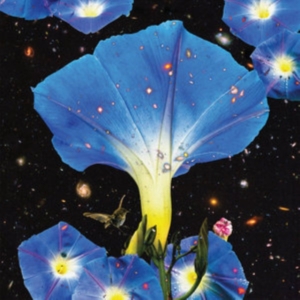 Louise Sarah - Nighttime Birds And Morning Stars i gruppen CD hos Bengans Skivbutik AB (3476067)