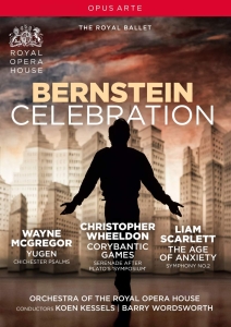 Bernstein Leonard - Bernstein Celebration (Dvd) i gruppen DVD & BLU-RAY hos Bengans Skivbutik AB (3484719)