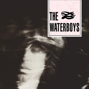 The Waterboys - Waterboys i gruppen Minishops / Waterboys hos Bengans Skivbutik AB (3489861)