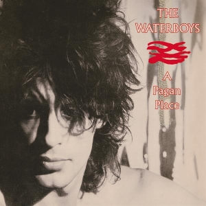 The Waterboys - A Pagan Place i gruppen Minishops / Waterboys hos Bengans Skivbutik AB (3489862)