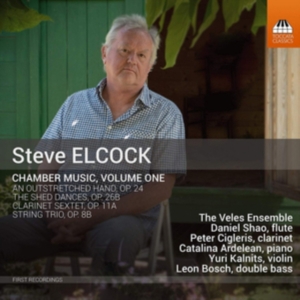 Elcock Steve - Chamber Music, Vol. 1 i gruppen CD / Klassisk hos Bengans Skivbutik AB (3494709)