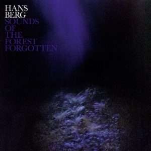 Berg Hans - Sounds Of The Forest Forgotten i gruppen VINYL hos Bengans Skivbutik AB (3496070)