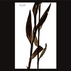 Ratkje Maja - Sult i gruppen CD hos Bengans Skivbutik AB (3505491)