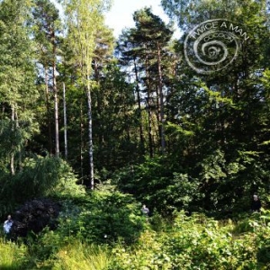 Twice A Man - Cocoon i gruppen CD hos Bengans Skivbutik AB (3509591)