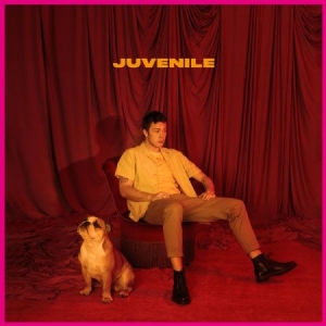 Helmig Hugo - Juvenile i gruppen CD hos Bengans Skivbutik AB (3509645)