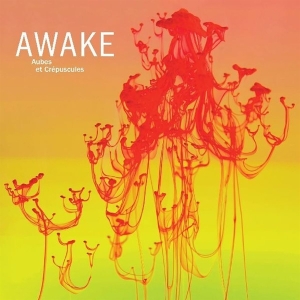 Awake - Aubes Et Crepuscules i gruppen CD hos Bengans Skivbutik AB (3509661)
